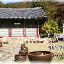 용덕천 이미지