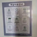 골드애견 이미지