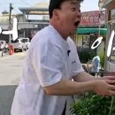 엄정분식