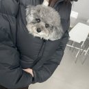 커프웍스 - 10270 | 커프웍스