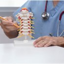 튼튼하지의원 이미지