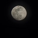 밀밭칼국수 이미지