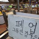 톤섬 이미지