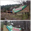 능골엄나무토종닭 이미지