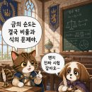 금노다지