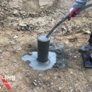 성보펫케어(주) 이미지