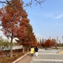 군문초등학교 | 평택시, “가볼까 평택?” 스탬프투어 진행