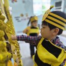 🐝 윙윙~ 달콤한 꿀벌 탐험대 출동! 이미지