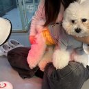멍스쿨 이미지