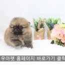 우아펫