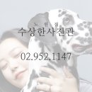 쌍문사진관 네이버블로그