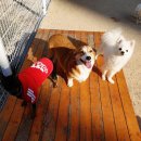 맡기고가개 이미지