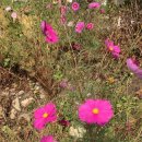 위드네이처하우스 이미지