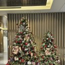 베리 | 대구 메리어트 애프터눈티 겨울 베리 딜라이트 후기