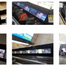 비상유도클럽 이미지