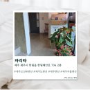 마리따 | [제주] 제주오션뷰펜션 마리따 솔직후기