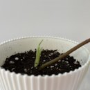 달이농장 이미지