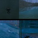 다일락스포렉스 이미지