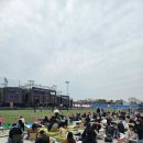 체리블라썸 뮤직페스티벌~! 후기