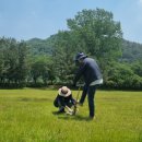 첨단체육공원(운동장) 이미지