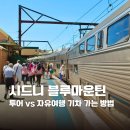 (주)스카이투어관광 | 호주 시드니 블루마운틴 투어 VS 자유여행 기차 가는 방법