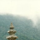 양태극권 이미지