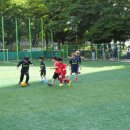 경희대효성태권도 이미지