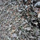 선학초등학교 이미지