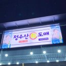 바른물회