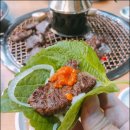 광명본갈비
