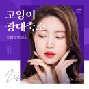 유봄성형외과의원 | 고양이 광대축소 유봄성형외과 추천합니다