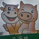 오성로 | 광양 현지인 맛집 &#39;돈우랑&#39; 솔직후기