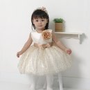 드레스윤 Daum카페