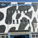 포항수협송도활어회센터 이미지