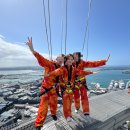 Free as a | [공지] [액티비티 후기] 🇳🇿뉴질랜드 오클랜드에서 &#34;스카이워크&#34;