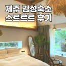 제주 스르르르 10만원대 감성숙소 내돈내산 연박 후기