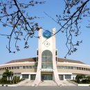 군산체육관 이미지