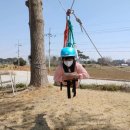 스카우트 그루터기 이미지