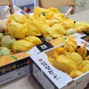 김정운농장 이미지