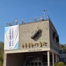 무주곤충박물관 | 무주 곤충 박물관 방문 후기 | 무주 반디랜드 가볼만한곳