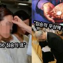 유카리스 이미지