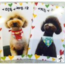 지누동물병원 이미지