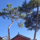 서로커피 네이버블로그