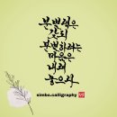 분별심과 분리의식 이미지