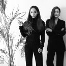 SES 카카오 검색결과