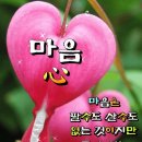 오늘의 날씨 (9월 11일 목요일) D-8 이미지