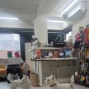 엘슈슈 이미지