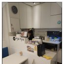25카츠 네이버블로그