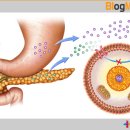 라라올라 이미지
