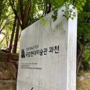 현대미술관 과천, 서울대공원 방문 (젊은 모색 2025, 한국 현대 도자공예, 한국근현대미술전 1 관람후기)